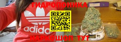 МДПВ Ефремов