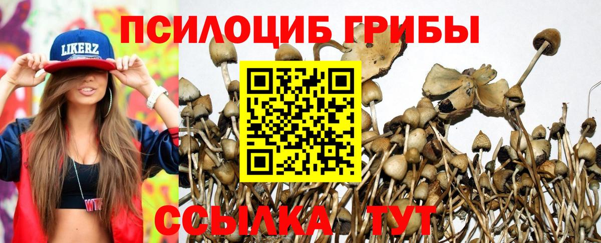 Галлюциногенные грибы мухоморы Волгоград