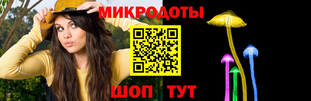 Волгоград  Псилоцибиновые грибы мицелий  Вход с VPN 